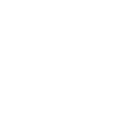 Supportive Work Environment